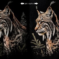 dtf-rys Plik vs druk